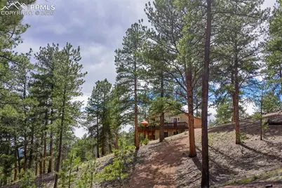 185 Wildcat Creek Drive, Florissant, CO 80816 - Photo 6