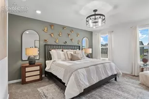 8514 Blue Feather Loop, Colorado Springs, CO 80908 - Photo 16