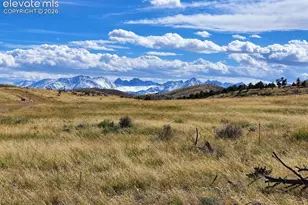 Lot 2 Pine Valley Rd, Cotopaxi, CO 81223 - Photo 1