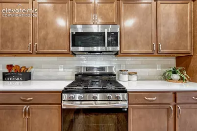 2625 Brogans Bluff Drive, Colorado Springs, CO 80919 - Photo 6