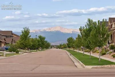 9807 Wolf Lake Drive, Colorado Springs, CO 80924 - Photo 10