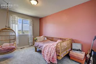 9186 Cut Bank Wy, Colorado Springs, CO 80908 - Photo 30