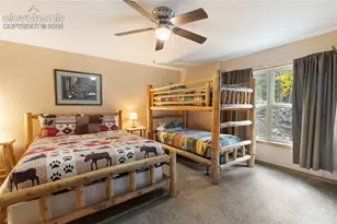 324 Celtic Run, Florissant, CO 80816 - Photo 30