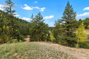 324 Celtic Run, Florissant, CO 80816 - Photo 44