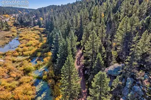 324 Celtic Run, Florissant, CO 80816 - Photo 6