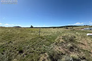 61 Stripling Ln, Divide, CO 80814 - Photo 38