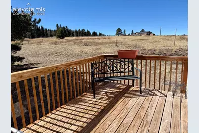 61 Stripling Lane, Divide, CO 80814 - Photo 30