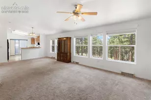 46 Kingston Cir, Florissant, CO 80816 - Photo 6