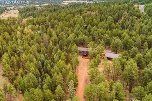 46 Kingston Cir, Florissant, CO 80816 - Photo 42