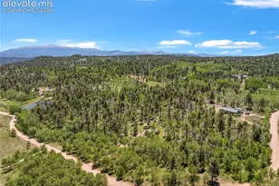 173 Deerview Dr, Florissant, CO 80816 - Photo 22