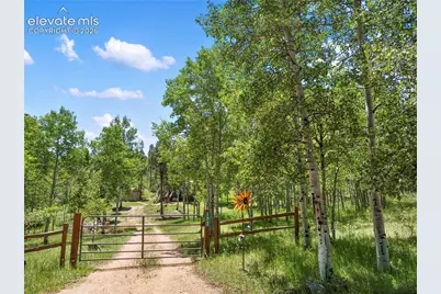 173 Deerview Drive, Florissant, CO 80816 - Photo 24