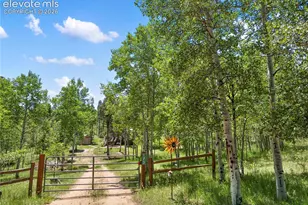 173 Deerview Dr, Florissant, CO 80816 - Photo 24