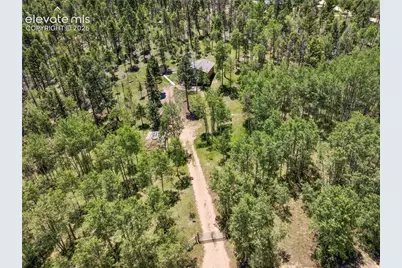173 Deerview Drive, Florissant, CO 80816 - Photo 18