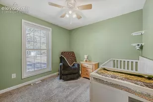 1005 W Browning Ave, Woodland Park, CO 80863 - Photo 16