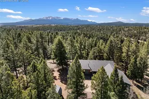 48 Walden Lake Circle, Divide, CO 80814 - Photo 6