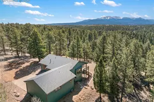 48 Walden Lake Circle, Divide, CO 80814 - Photo 46