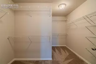 7436 Thorn Brush Way, Colorado Springs, CO 80923 - Photo 26
