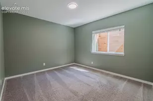 7436 Thorn Brush Way, Colorado Springs, CO 80923 - Photo 40