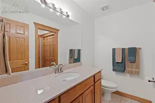 1145 Cambrook Ct, Monument, CO 80132 - Photo 32