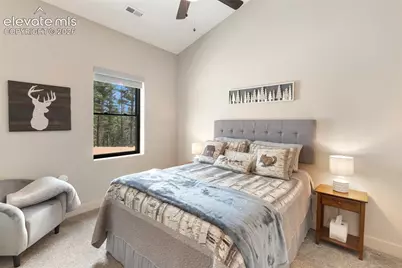 5542 North Road, Divide, CO 80814 - Photo 30