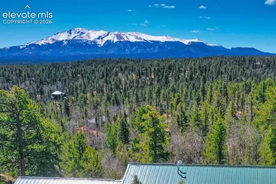 5542 North Road, Divide, CO 80814 - Photo 4