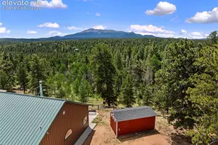 5542 N Rd, Divide, CO 80814 - Photo 48