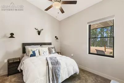 5542 North Road, Divide, CO 80814 - Photo 34