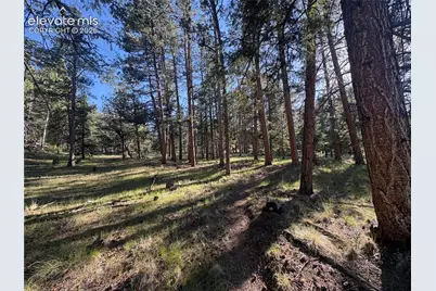 475 Sioux Road, Florissant, CO 80816 - Photo 38