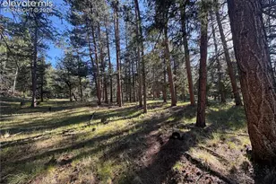 475 Sioux Rd, Florissant, CO 80816 - Photo 38