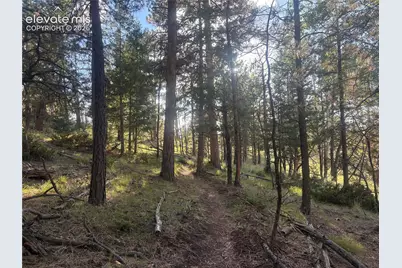 475 Sioux Road, Florissant, CO 80816 - Photo 46