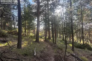 475 Sioux Rd, Florissant, CO 80816 - Photo 46