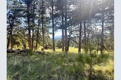 475 Sioux Road, Florissant, CO 80816 - Photo 8