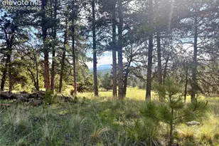 475 Sioux Rd, Florissant, CO 80816 - Photo 8