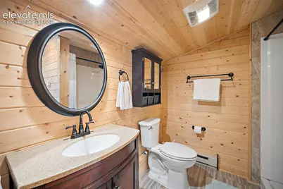 213 Willow Road, Divide, CO 80814 - Photo 18