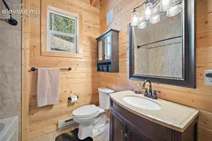 213 Willow Rd, Divide, CO 80814 - Photo 32