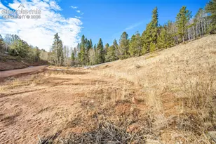 213 Willow Rd, Divide, CO 80814 - Photo 44