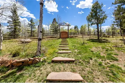 153 Moss Rock Court, Divide, CO 80814 - Photo 38