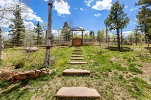 153 Moss Rock Ct, Divide, CO 80814 - Photo 38