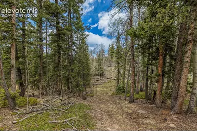 153 Moss Rock Court, Divide, CO 80814 - Photo 30