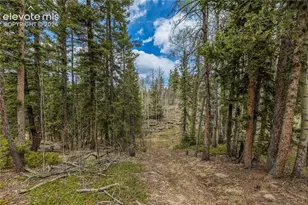 153 Moss Rock Ct, Divide, CO 80814 - Photo 30