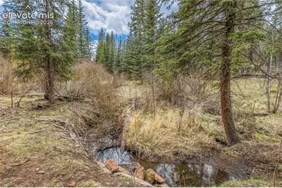 153 Moss Rock Court, Divide, CO 80814 - Photo 32