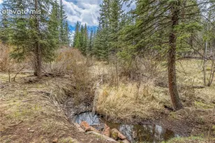 153 Moss Rock Ct, Divide, CO 80814 - Photo 32