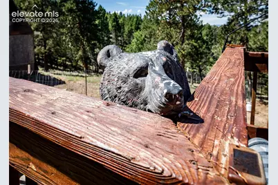 177 Morning Star Creek Trail, Florissant, CO 80816 - Photo 48