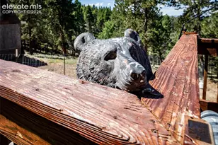 177 Morning Star Creek Trail, Florissant, CO 80816 - Photo 48