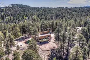 177 Morning Star Creek Trail, Florissant, CO 80816 - Photo 8
