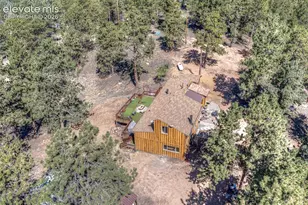 177 Morning Star Creek Trail, Florissant, CO 80816 - Photo 6