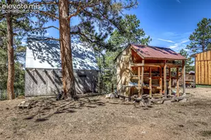 177 Morning Star Creek Trail, Florissant, CO 80816 - Photo 46