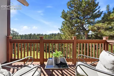 1509 County Road 25, Divide, CO 80814 - Photo 22