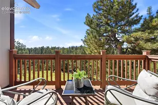 1509 Co Rd 25, Divide, CO 80814 - Photo 22
