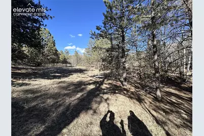 421 Crescent Drive, Florissant, CO 80816 - Photo 14